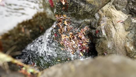 Eine-Kleine-Wasserfallszene-Bei-Einer-Hochzeit