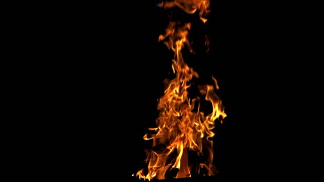 bright burning fire isolated on black background. burning wood in slow motion