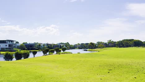 lush greenery and modern architecture by water