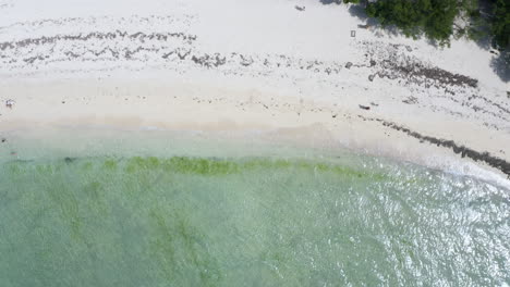 Playa-De-Arena-Blanca-De-La-Isla-Tropical-En-Zanzíbar,-Tiro-De-Drones-Por-Encima-De-La-Cabeza