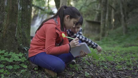 happy ethnic children with loupe studying leaf in forest