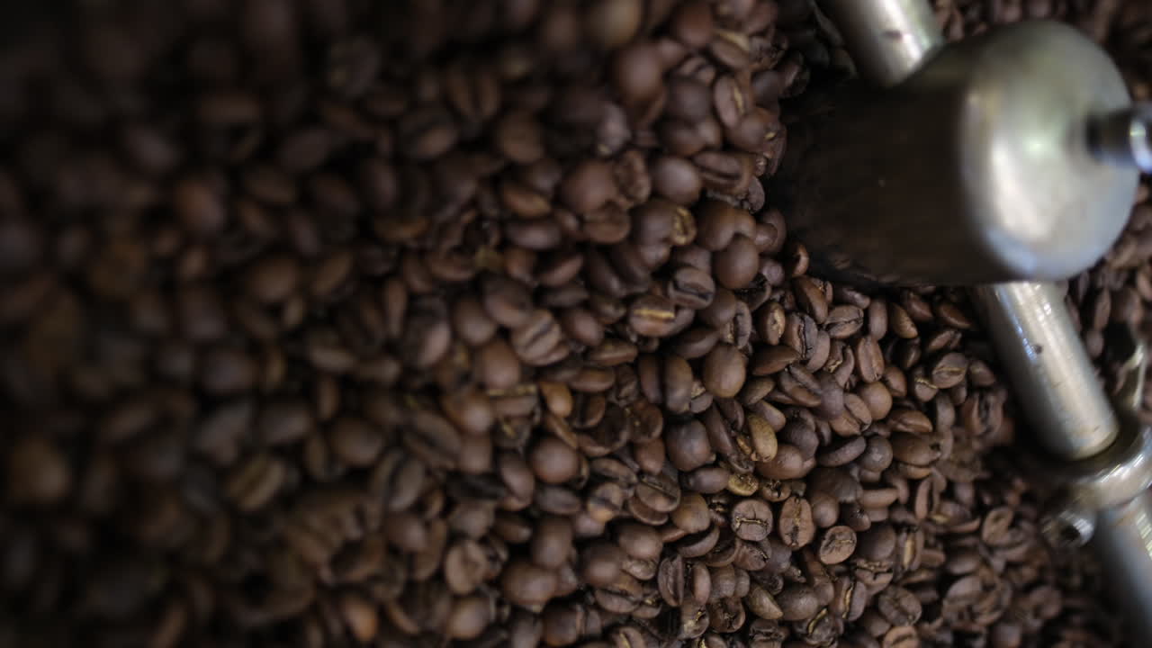 perfección en el tostado: los granos de café en acción