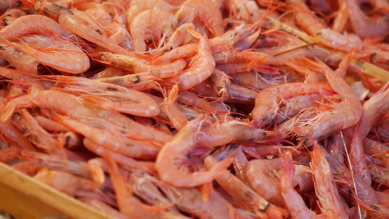 camarones frescos en un mercado