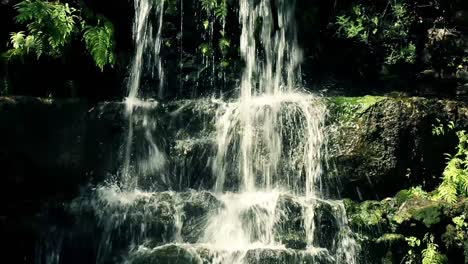 Tiro-Apretado-De-Una-Cascada-En-El-Parque-Zilker