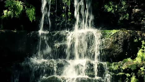 tiro apretado de una cascada en el parque zilker