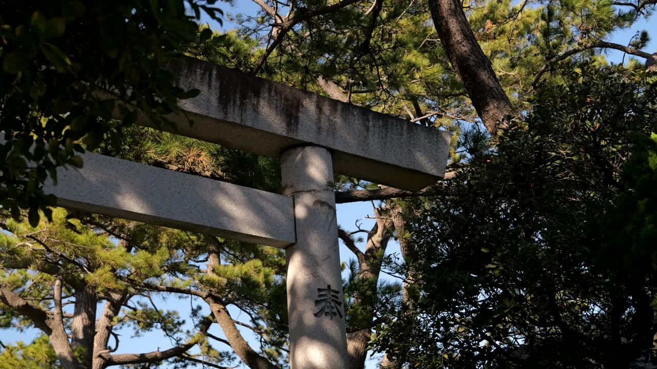 나무의 실루이 있는 아름다운 돌 토리 게이트의 근처