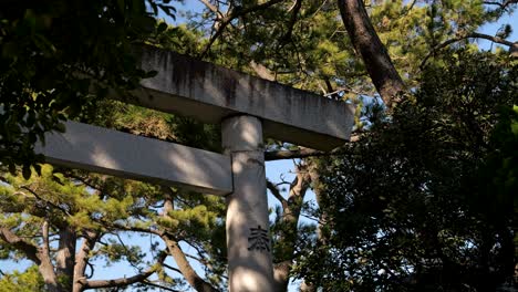 Close-up-of-beautiful-stone-torii-gate-with-tree-silhouettes