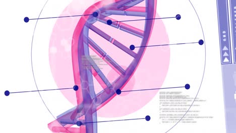 animación del procesamiento de datos científicos sobre el hilado de cadenas de adn