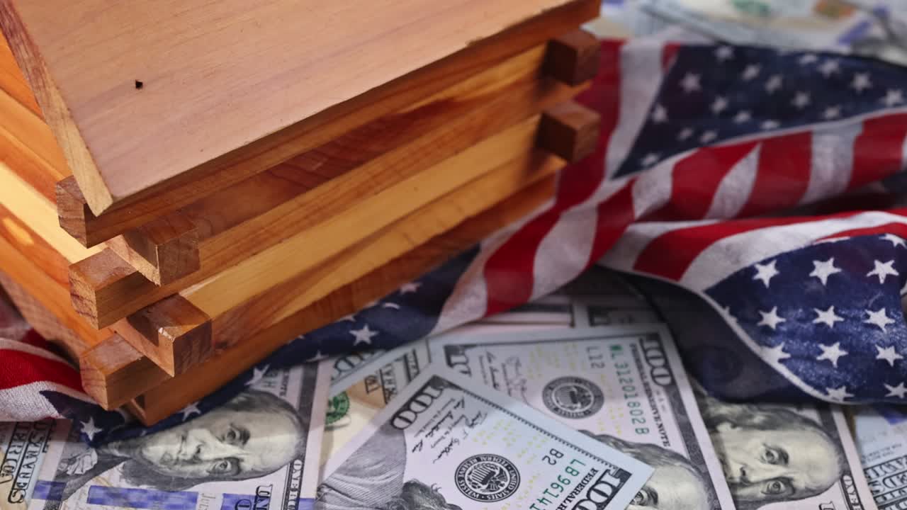 파산 법원은 세금을 지불하지 않았다는 이유로 집을 체포했습니다.