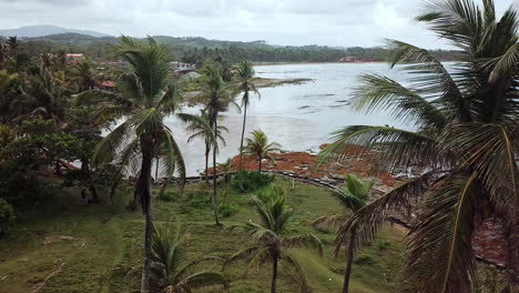 aerial view between palm trees with view of sea