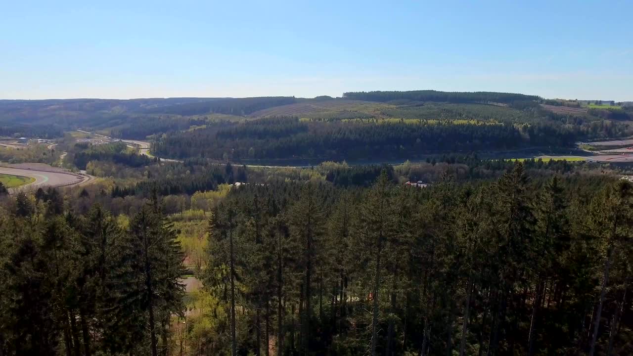 위 에서 볼 수 있는 소나무 숲