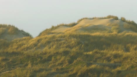 serie of shots windy winter holliday in the netherlands on the dutch beach island terschelling