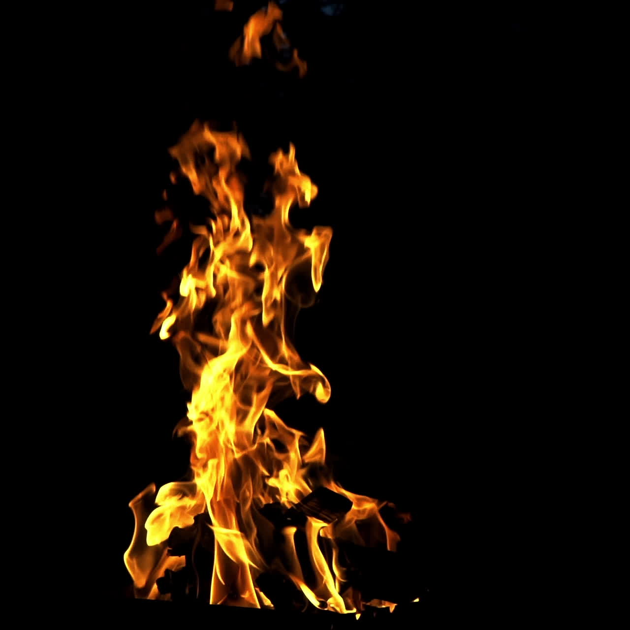 Burning fire at night, campfire bonfire