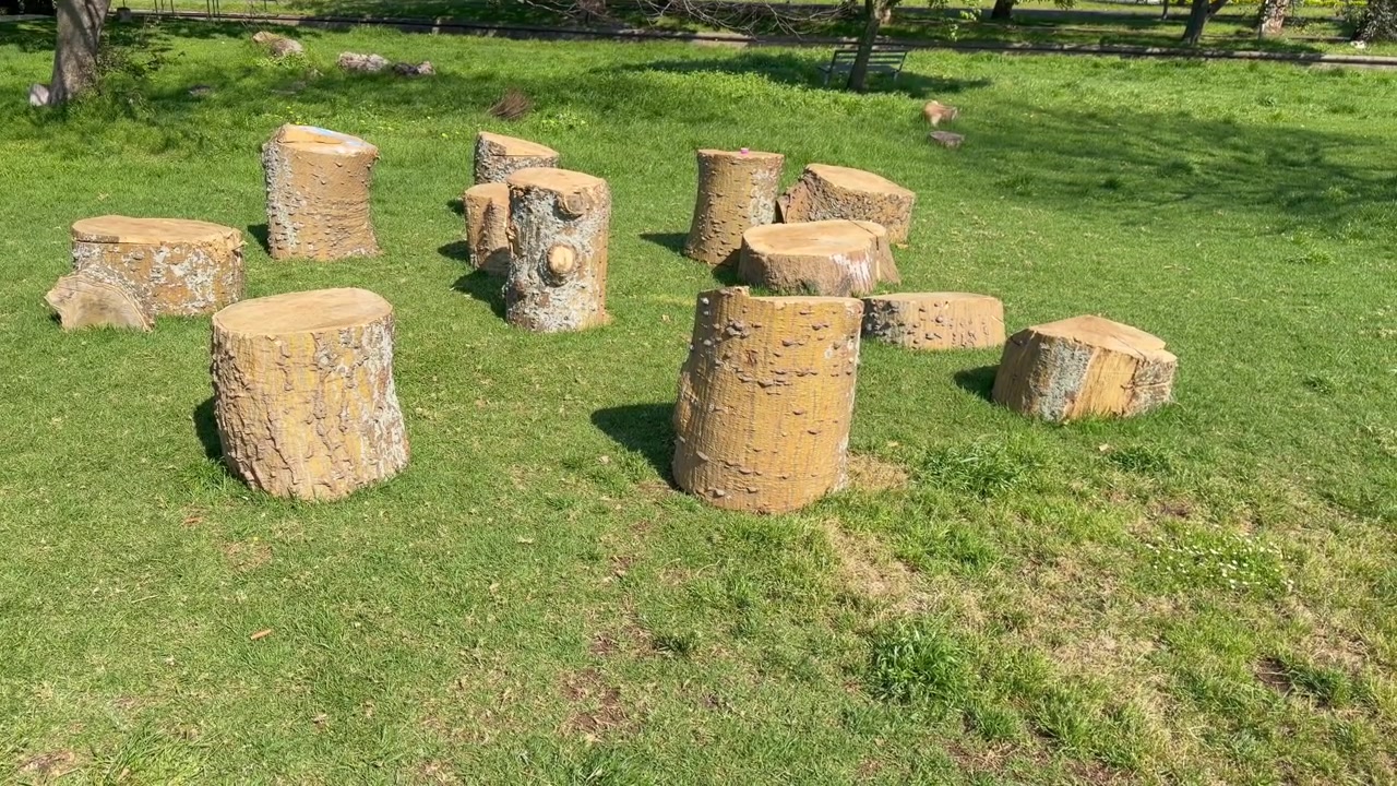 A cluster of cut tree trunk sections stand upright and on their sides on a grassy lawn, repurposed as natural stools or playground seating. The logs vary in height and diameter, with weathered bark