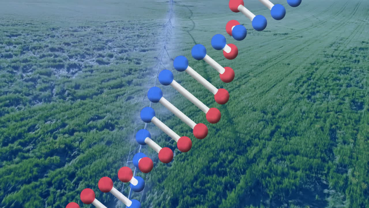 3D render molecular helix running vertically over aerial crop field, featuring power cable outlines