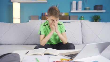el niño que mira la computadora mientras estudia está molesto.