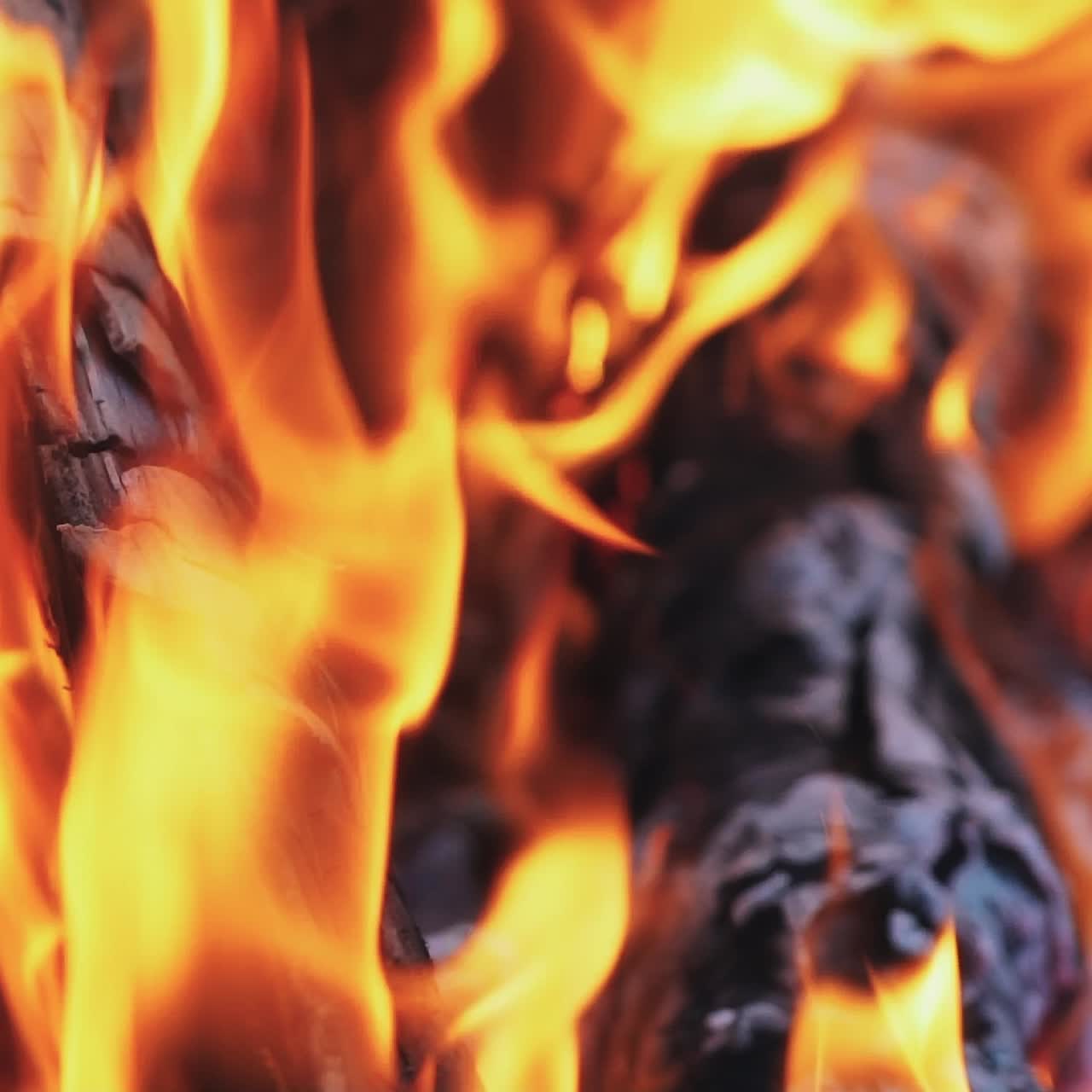 Burning wood in the fireplace and the flames. Bonfire. Slow motion