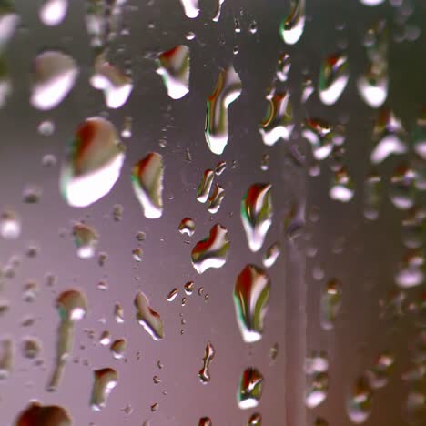 rain drops on window. water droplets falling on glass surface. water drops falling. selective focus video