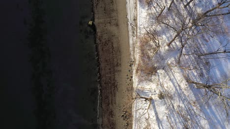 Aéreo-De-Arriba-Hacia-Abajo-Sobrevolando-Una-Fría-Playa-De-Invierno-Al-Amanecer-Con-Suaves-Olas-Y-Largas-Sombras-De-árboles-Visibles