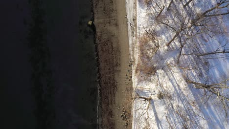aerial top down flying over a cold winter beach at dawn with gentle waves and long tree shadows visible