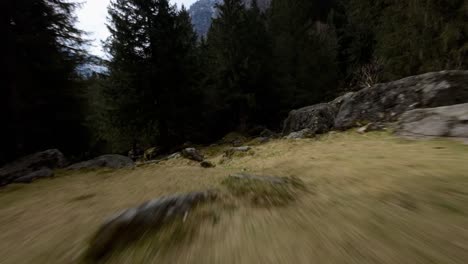 fpv aéreo volando sobre rocas y árboles en val masino, italia