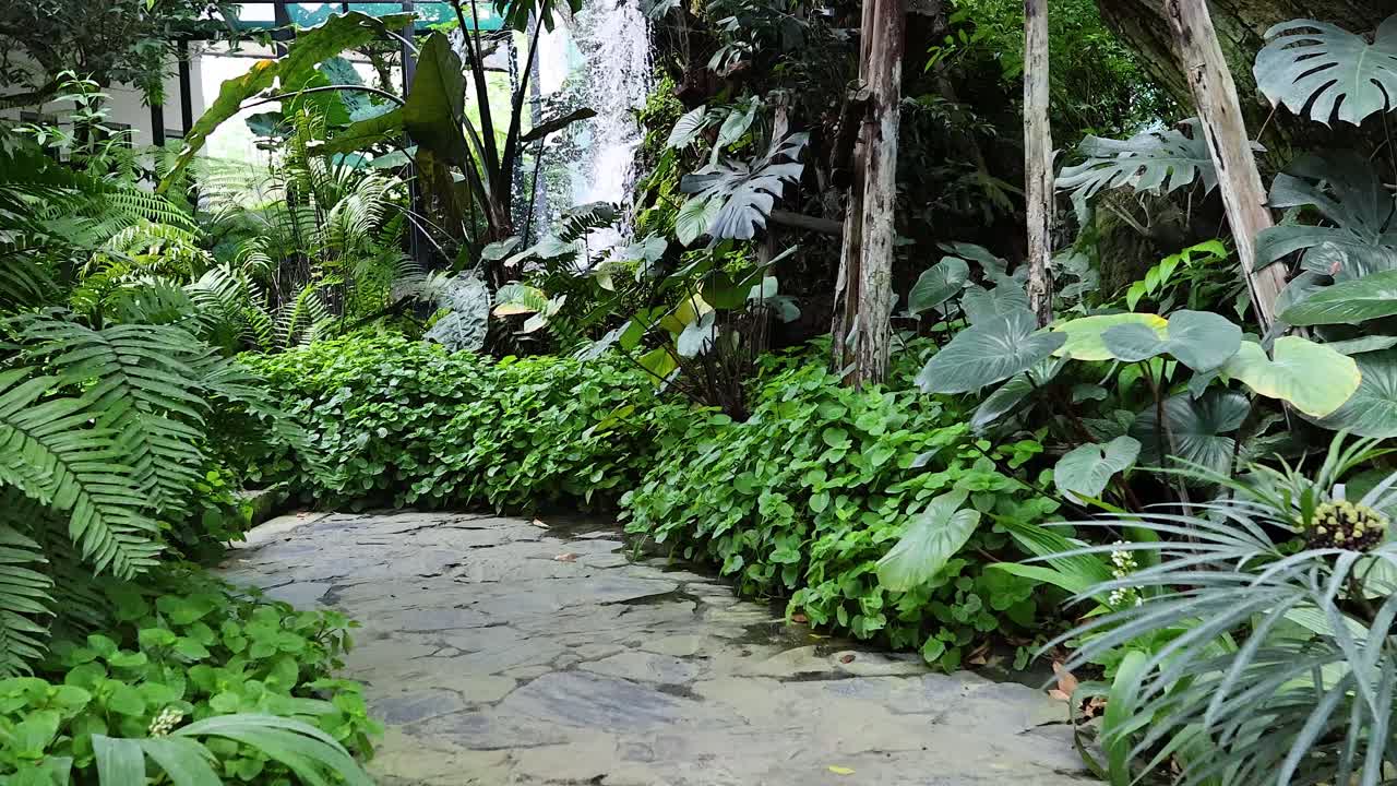 un camino de bosque sereno rodeado de vegetación