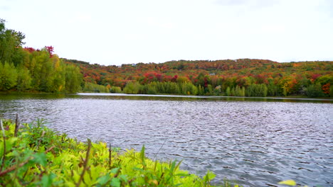 Schöner-See-In-Der-Ostkanadischen-Landschaft