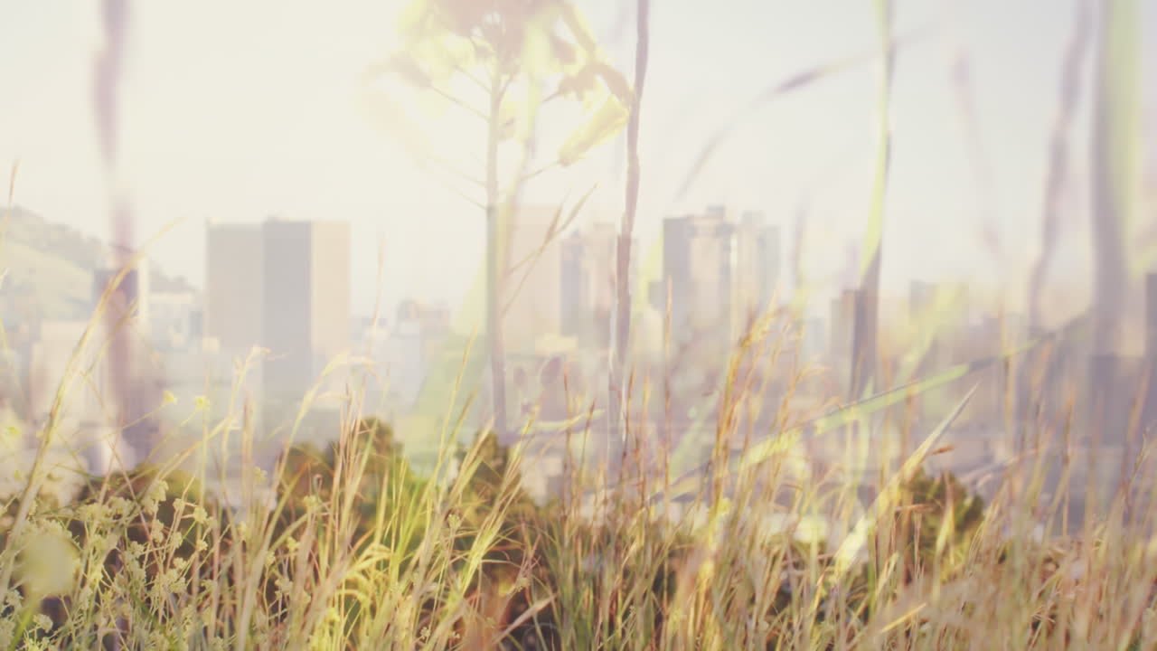 도시 풍경 위에 흔들리는 잔디의 애니메이션