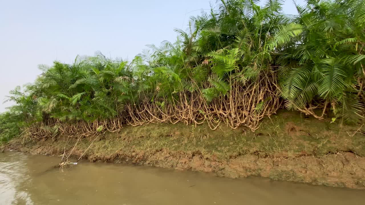 pov op een rivier met de boot bij sundarbans, bangladesh, modderig water, kopieer ruimte