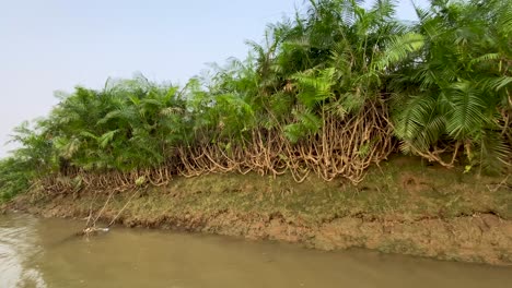 pov en un río con el barco en sundarbans, bangladesh, agua fangosa, copia el espacio