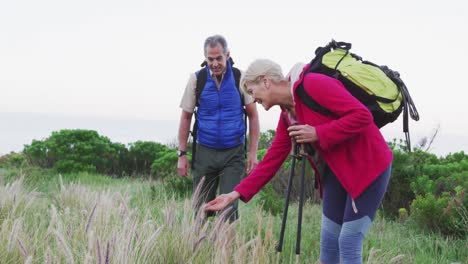 Älteres-Paar-Auf-Einer-Gemeinsamen-Wanderung-In-Der-Natur