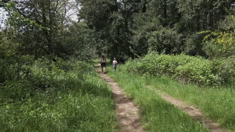 verdant woodland trail stretching through lush greenery, mother and child walking away, embodying peaceful natural journey and familial connection amid serene landscape