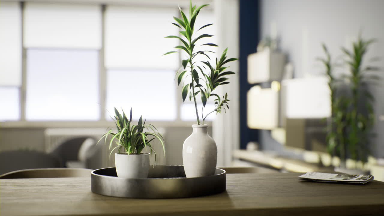 Two potted plants sit in a round tray on a wooden table in a bright living room