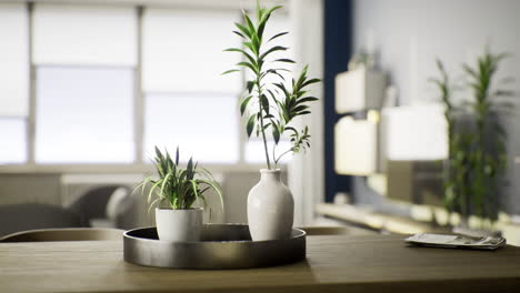 two potted plants sit in a round tray on a wooden table in a bright living room