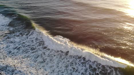 A-drone-rotates-around-an-aerial-view-of-surfers-surfing-and-waves-crashing