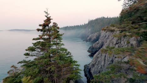 Ein-Drohnenschuss-Durch-Bäume-Zeigt-Die-Nebelverhangene-Küste-Von-Maine