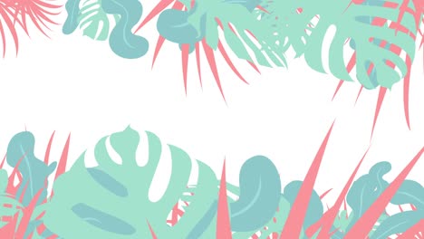 pop gráficos botánicos [bucle]
