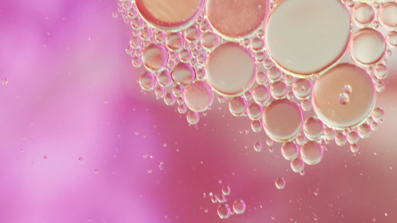Animación de burbujas moviéndose sobre fondo rosa con espacio para texto