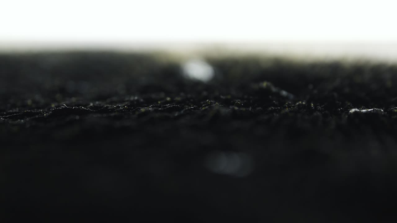 Iron Particles Forming Magnetic Wave Patterns