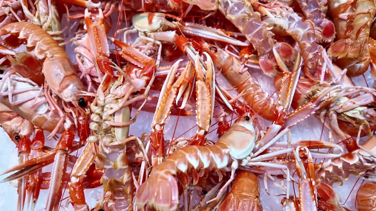 Close-up view of pile of fresh Norway langoustes arranged on a market stall iced table