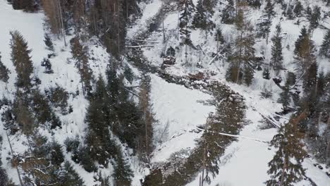 Cinematic-aerial-forward-over-snowy-forest-and-river-and-deserted-road