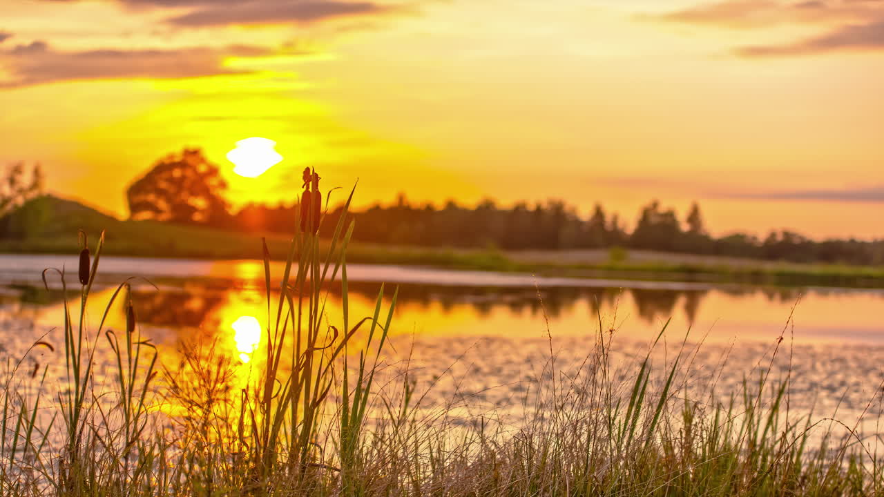 идиллический берег озера во время золотого заката с малой глубиной резкости