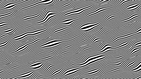 black and white stripes waving surface. modern isometric background loop animation. 3d rendering.