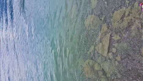 Panning-up-from-Lake-Thun-Switzerland-showing-flowers,-clear-water,-and-mountains-on-vertical-shot