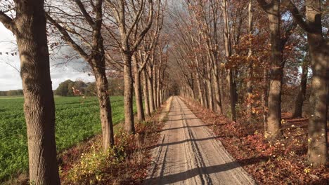 Movimiento-Constante-De-Avance-Aéreo-Que-Muestra-Una-Carretera-De-Campo-Con-árboles-De-Colores-Otoñales-En-Un-Carril-A-Ambos-Lados-Y-Tierras-De-Cultivo-Verdes-Iluminadas-Por-Un-Sol-De-Invierno-Bajo-Por-La-Tarde-Holandesa