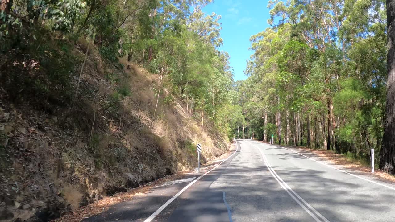 나무 로 둘러싸인 휘어지는 길 을 따라 여행 하는 것