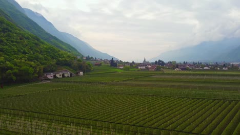 blooming apple fields, mountains and italian township, aerial view