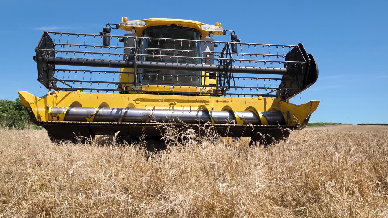 cosechadora combinada cosechando el campo de trigo