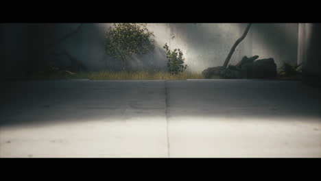 modern minimalist garden scene