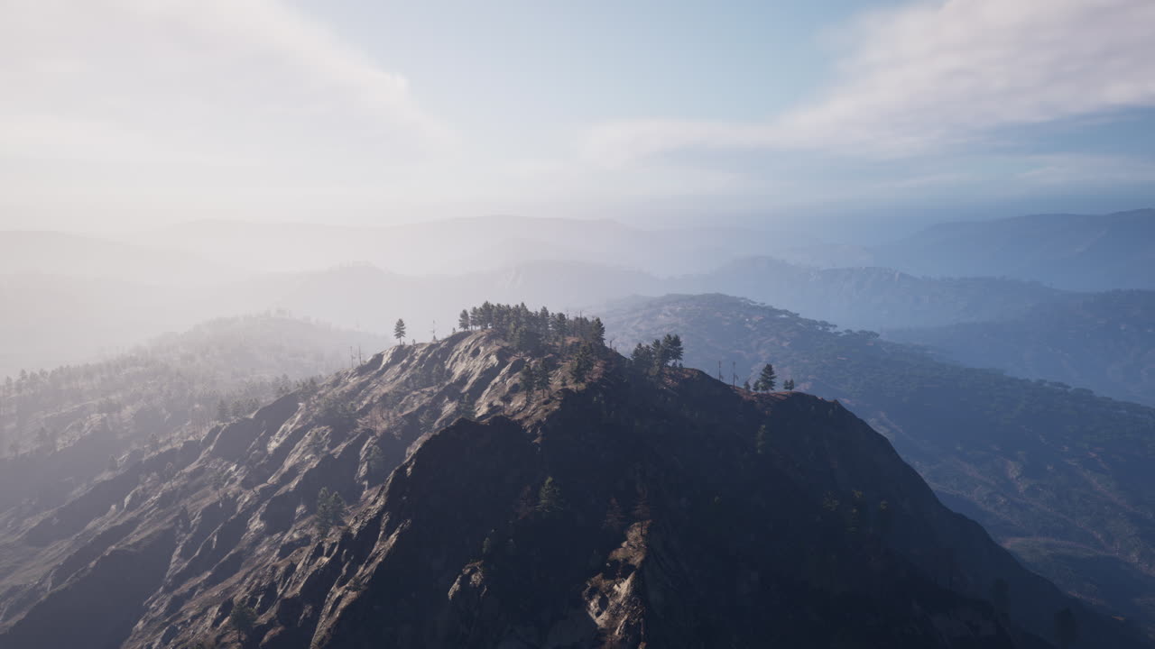 카르파티아 산맥의 높은 산맥을 배경으로 아름다운 소나무